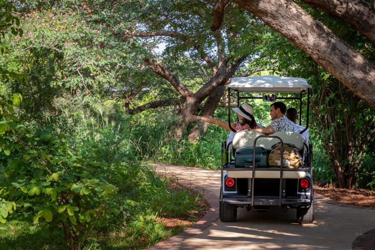 Mbano Manor Hotel Victoria Falls Dış mekan fotoğraf